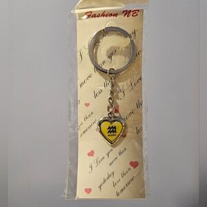Aquarius Heart Keychain